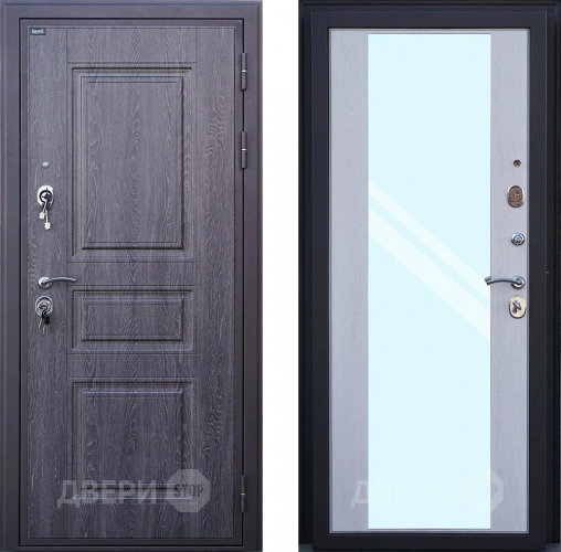 Входная металлическая Дверь Шелтер (SHELTER) Филадельфия Зеркало в Шатуре