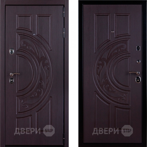 Дверь Меркурий в Шатуре