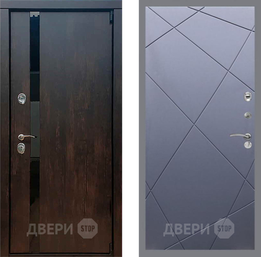 Дверь Рекс (REX) 26 FL-291 Силк титан в Шатуре